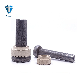 ISO13918 SD Shear Connector Weld Stud Arc Stud Welding for Bridge Construction