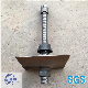 Rock Bolt/Hollow Bar Anchor/Self Drilling Bolt for Tunnel/Mining R25/ Steel 40cr/45