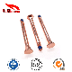  6*65 Rose Gold-Plated Carbon Steel Square-Neck Half Thread/Tooth Carriage Bolts