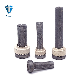  ISO13918 Type SD Arc Studs Welding Shear Connector Weld Stud with Ceramic Ferrules