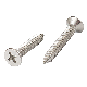 Durable Stainless Steel Self-Tapping Screw with Phillips Flat Countersunk Head
