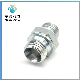 OEM ODM Factory China Manufacture Price Top Sale Bsp to NPT Galvanized Hydraulic Pipe Stainless Adapters Fittings Hydraulic Hose Adapter