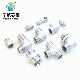 OEM Stainless Steel Hydraulic Pipe Fitting Price Manufacturer Carbon Steel Flange Connector Male Adapters 1cg Bsp Male Hydraulic