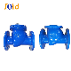  Ductile Iron Flanged End Swing Check Valve