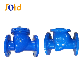 Ductile Iron Flanged End Swing Check Valve