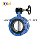 Ductile Iron Body Pn16 Double Flanged Butterfly Valve