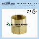  SAE Standard 3/4× 1/4 Nptf Thread Size Female Hex Brass Reducing Coupling