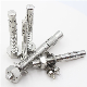 Premium Stainless Steel Wedge Anchor Bolt