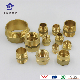 Brass Adapter Hex Nipple /Socket /Bushing Fittings manufacturer