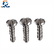 Stainless Steel Slotted Screw, Pan Head Slotted Machine Screw, Slotted Screw manufacturer