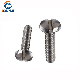 Stainless Steel Cheese Head Slotted Screw, Slotted Pan Head Screw manufacturer