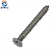 DIN7981 A2-70 Phillips Self Tapping Screws /Countersunk Head Screws manufacturer