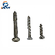 China Factory Stainless Steel Phillip Pan Head/Countersunk Head Fastener Screw manufacturer