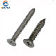 Stainless Steel Cross Recessed Countersunk Head/Csk Self Tapping Screw Fastener Machine Screw manufacturer