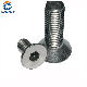 Stainless Steel Hex Socket Csk Head Machine Screw manufacturer