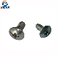 Modified Phillip Truss Head Drive Self Tapping Fastener Screw manufacturer