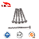  St4*50 Stainless Steel Torx Pan/Round Head Half Thread/Tooth Self-Tapping/Wood Screw