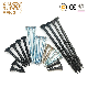  China Manufacturer Yellow/White Zinc Plated Black Phosphate Nickle Plated Drywall Screw