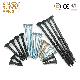 China Manufacturer Yellow/White Zinc Plated Black Phosphate Nickle Plated Drywall Screw