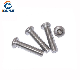 Stainless Steel Torx Pan Head Screw, Torx-Pin Screw Machine Screw