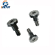 Custom Bolt Screw/Special Screw/Stainless Steel Ss316 Shoulder Bolt/Screw