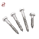 DIN571 Flat Stainless Steel 304 Wood Screw Hex Head Screw