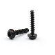  M3 M4 M5 M6 M10 Custom Stainless Carbon Steel Torx Pan Head Self Tapping Screw Plastic PT Thread Forming Screws