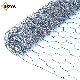  High Quality Galvanized Hexagonal Wire Mesh for Chicken /Plastic PVC Poultry Netting in Good Price