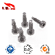  M4*15 Stainless Steel Torx Fillister/Cup Head Tail Screw