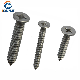 Csk Head Stainless Steel Self Tapping Screw