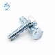 Blue White Zinc Hex Bolt Grade 4.8