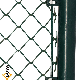  PVC Coated Metal Chain Link Fence and Steel Garden Fence Design
