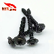  D: 4*L: 32 Black Dacromet Carbon Steel Phillips/ Crosss Pan/Round Washer Self-Tapping Screw