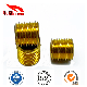  Brass CNC Hexagonal Plug Set Screw