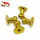  M3 Gold-Plated Brass Ball Head Anti-Theft Locking Screw