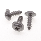  St6*19 Stainless Steel Phillips/Crosss Indented Round Washer Head Self-Tapping/Wood Screw