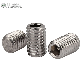  Stainless Steel Grub Screw Set Screw