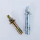  Factory Price Elevator Expansion Bolts with Hex Nuts Washer Wedge Anchor Concrete Lifting Anchor Bolt Carbon Steel Stainless Steel