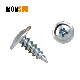  Blue Zinc Coating Steel Phillips Drive Wafer Head pH Full Thread Profile Connection Screws/K-Lath Screw Made in China