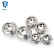  Stainelss Steel Locking Fasteners Floating Self-Clinching Nut Floating Nuts