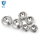 Stainelss Steel Locking Fasteners Floating Self-Clinching Nut Floating Nuts