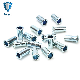  Iron Blue Zinc Tubular Rivets Pipe Rivets Electronic Rivets for Electrical Appliance
