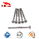 St4*50 Stainless Steel Torx Pan/Round Head Half Thread/Tooth Self-Tapping/Wood Screw