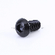  Grade 10.9 Black Oxide Alloy Steel ISO 7380 Hex Socket Button Screw for Machine