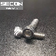 Made in China Stainless Steel Carbon Steel Socket Head Cap Screw