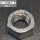 China Factory SS316 Ss 304 Stainless Steel Hex Nut Grade A2-70 A2-80/ Stainless Steel Nut/Stainless Steel Bolt/Stainless Steel Washer/Stainless Screw Screw