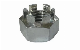 Made in China DIN937 Hex Nuts Castle Nuts DIN935 Slotted Nuts