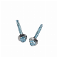  Hex Washer Head Self Drilling Screw with Bonded Washer Head Painted Factory