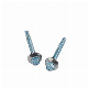 Hex Washer Head Self Drilling Screw with Bonded Washer Head Painted Factory