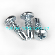  Wholesale Manufcturer C1022 /Ss Zinc Plated Self-Drilling Screw with Pan Head